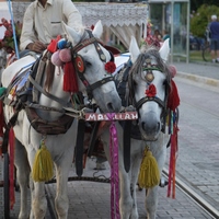 Photo de Turquie - Antalya, trésor de la Riviera turque